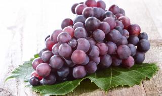 三元一斤的葡萄销售方法 葡萄多少钱一斤